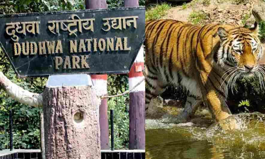 टूरिज्म की तरफ बढ़ा लोगों का रुझान, दुधवा में हेलीकाप्टर सेवा और लखीमपुर महोत्सव का शुभारंभ