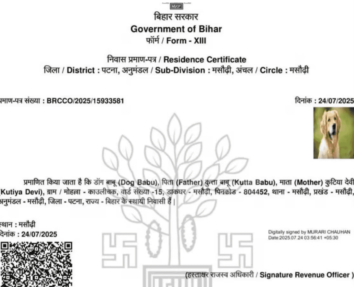 Bihar News: कुत्ते का निवास प्रमाण पत्र बनाने वाला मसौढ़ी का कार्यपालक सहायक गिरफ्तार, जानें पूरी सच्चाई…