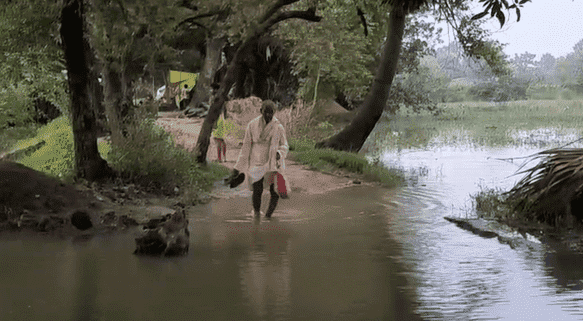 Bihar News: पहाड़ी पानी से बाढ़ जैसा हालात, सैकड़ों किसानों की डूबी फसल, अब घरों तक पहुंचा पानी