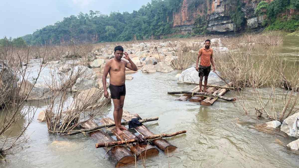 उदंती-सीता अभयारण्य से पुष्पा-स्टाइल से हो रही थी सागौन की तस्करी, वन विभाग की दबिश पर लकड़ी छोड़ भागे तस्कर, तलाश जारी…