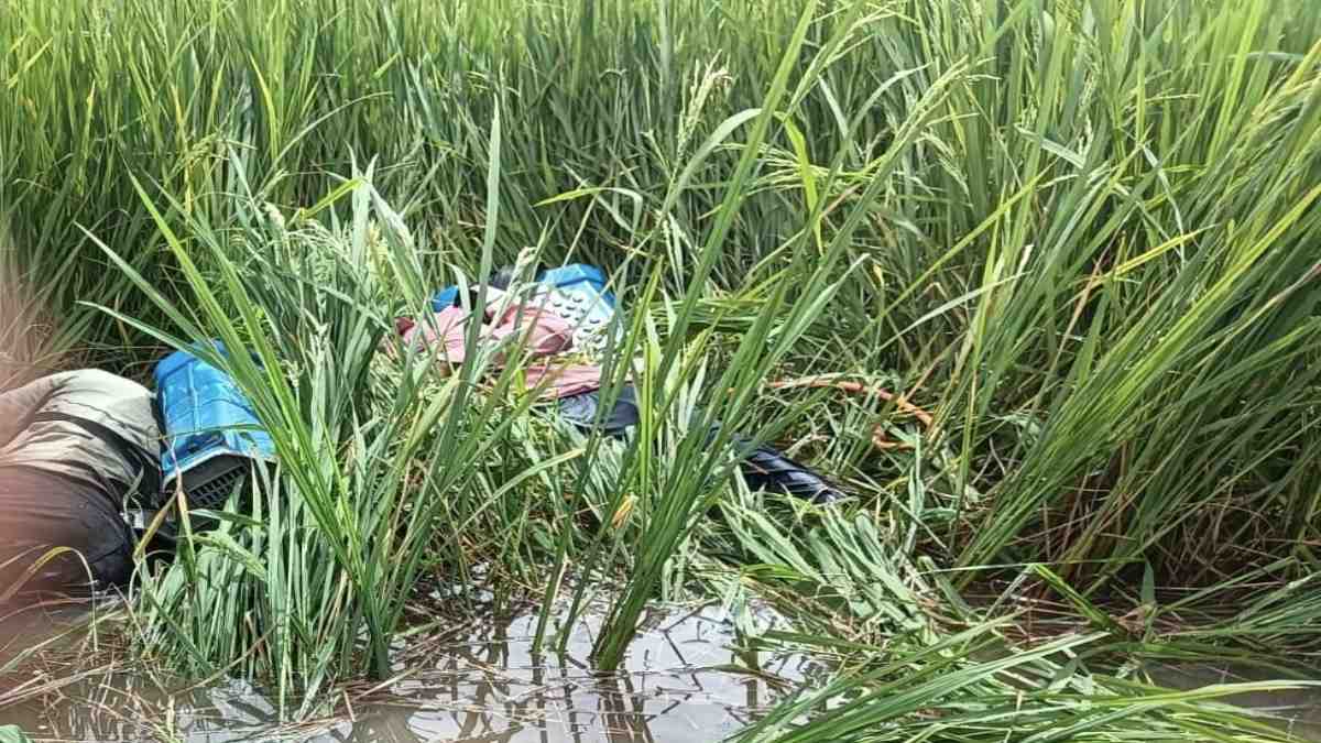 CG NEWS: खेत में दवा छिड़कने गए 2 सगे भाइयों की करंट से मौत, गांव में पसरा मातम