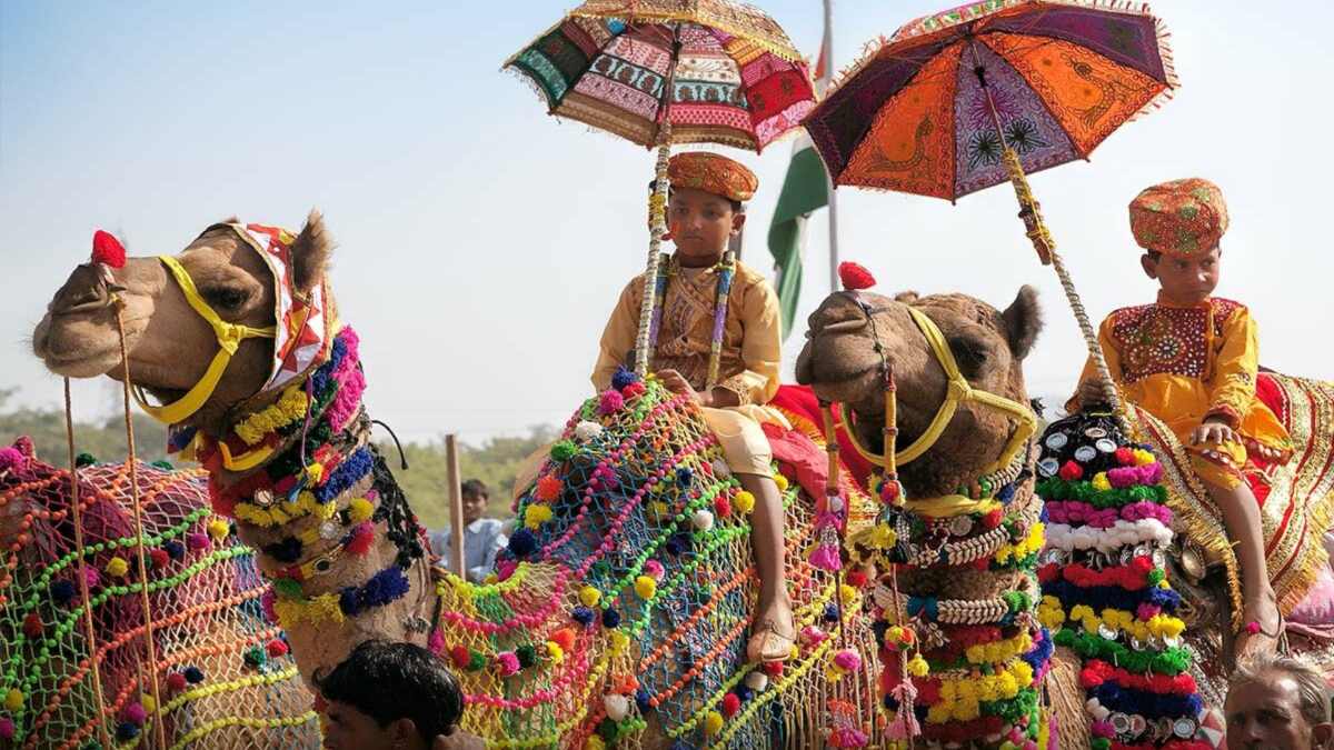 Rajasthan News: पुष्कमर मेले में GST टीम को ढूंढने से भी नहीं मिला ’15 करोड़ का घोड़ा