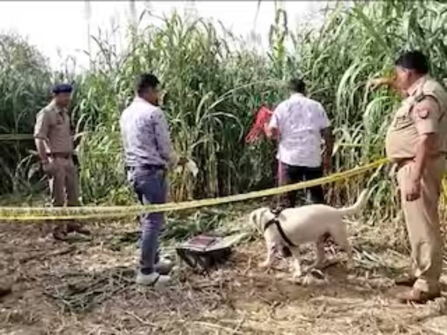 रांची:हिस्ट्रीशीटर की बेरहमी से हत्या…पहले काटी गर्दन, फिर टुकड़े किए; सिर-धड़ को अलग-अलग दफनाया