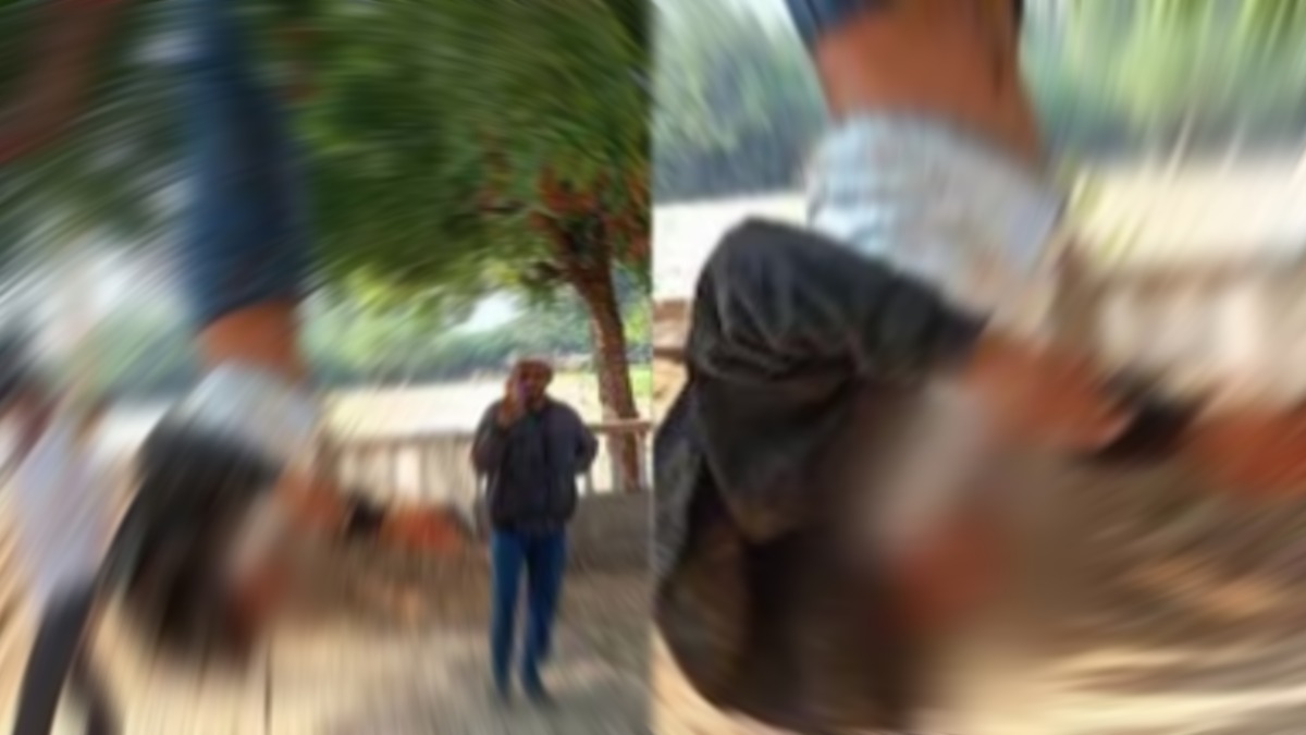 आदिवासी युवक के साथ बर्बरता: पेड़ से उल्टा लटकाकर की पिटाई, जख्मों में डाली मिर्च